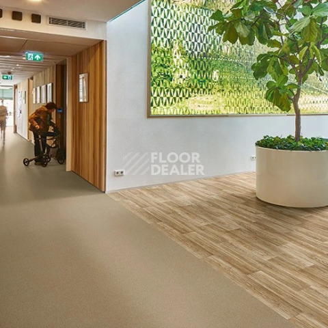 Forbo Modul'up compact material 303UP43C sand nairobi фото 2 | FLOORDEALER